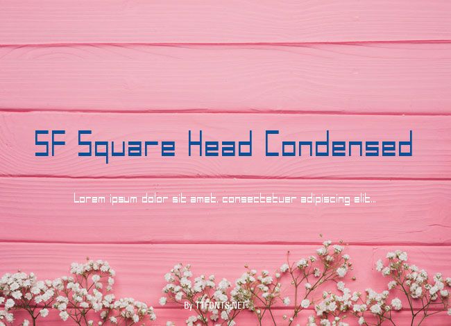 SF Square Head Condensed example